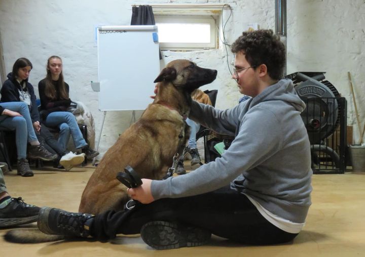 respect éducateur comportementaliste canin