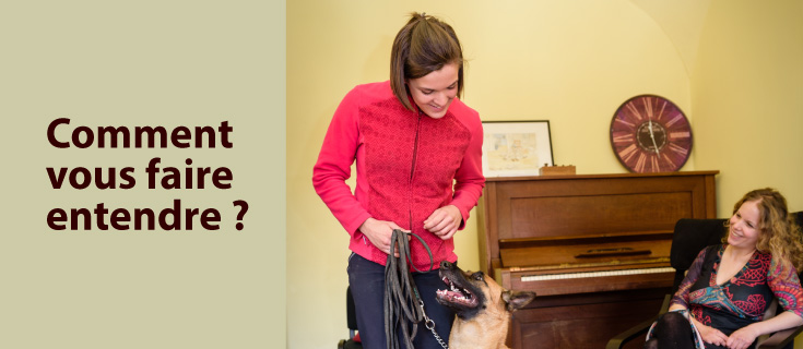 &eacute;ducation chien