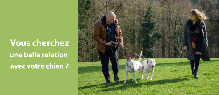 &eacute;ducation chien