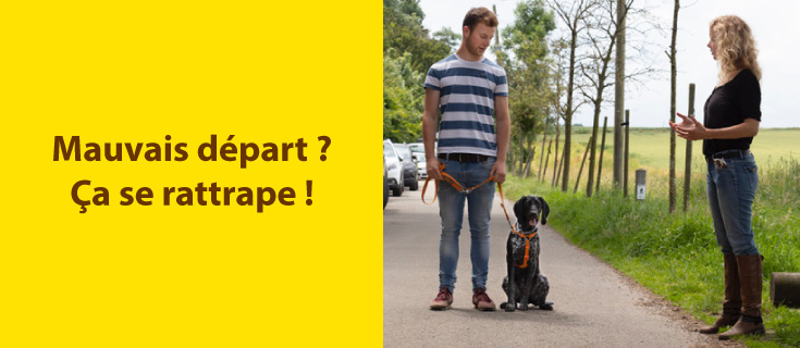 Mauvais d&eacute;part ? &eacute;ducation chien